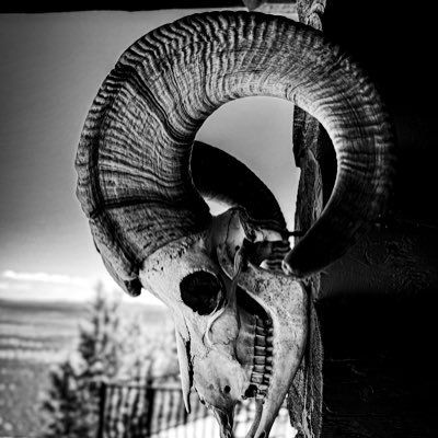 KarlDandIeton's profile picture. Bourbon+Resistance Training+Emo Music = Me