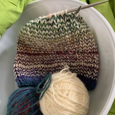 RainbowBut81691's profile picture. innumerate