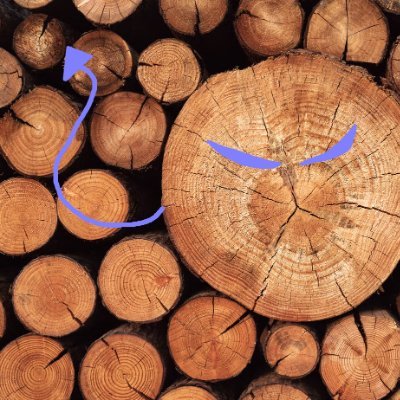 WoodWood719217's profile picture. 