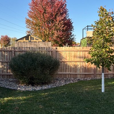 NancyJohn004's profile picture. 