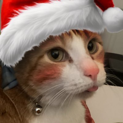 surceekarts's profile picture. possibly the end