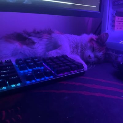 Gusllug's profile picture. Just a halo sweat, kinda good mostly bad. @neonlights_gg