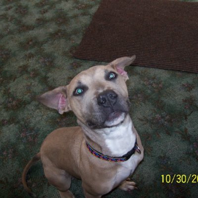 Norm1979867's profile picture. 