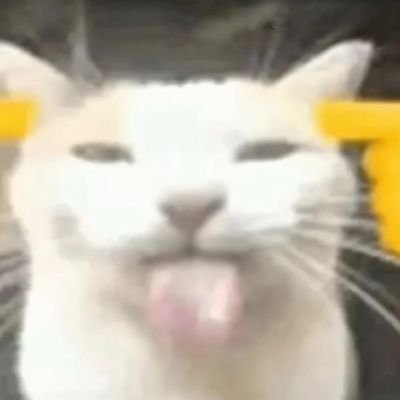 PROBABLY_ffs's profile picture. i run on hatred and caffeine