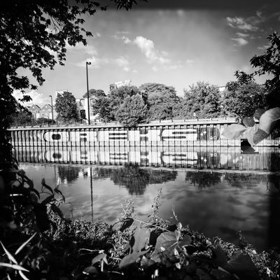 DenisSmith81867's profile picture. 