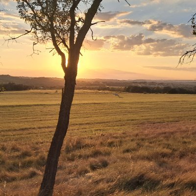 LatineStultus's profile picture. Bibliophile, asshole