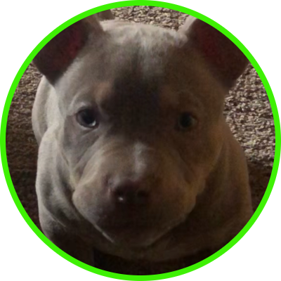 Brockamus's profile picture. 