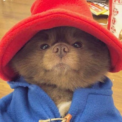 ra1lynstation's profile picture. #collegetweet
19