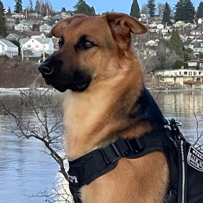 MichaelMeck19's profile picture. Taxes are theft, Epstein didn’t kill himself, your government hates you, be ungovernable.