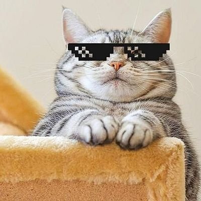 VrtxF48247's profile picture. 