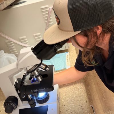 TheVetNoteNest's profile picture. A registered vet tech here to make a difference in students! 
Whether studying for classes or studying for the VTNE, I have what you need!