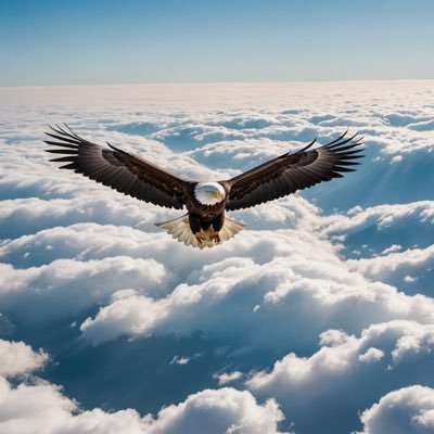 kimberlymo_3k's profile picture. انصح البنات بعدم الأقتراب من حسابي لأنه ضدد اولاد  العاهرة  في الوطن والشتات