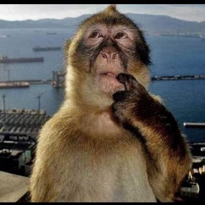 person797's profile picture. 