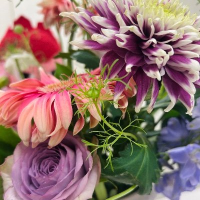 AxmBjioGZj5554's profile picture. 