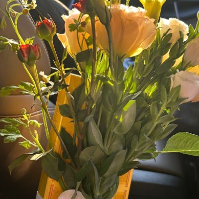 sxwvmcvr's profile picture. The winds of France, Sweden, and Germany have stayed with me for a long time.
I also carefully record the details of daily life.