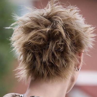 sunoojay's profile picture. el #maju y #wonton me mantienen con vida