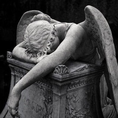 DEADANGEL_0's profile picture. 