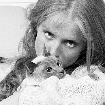 hydrangeasorbet's profile picture. só existo na internet.