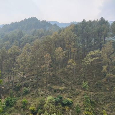 Thakur Surendra Singh