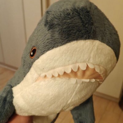 iluvAnfield7's profile picture. celebrating relentless passion, and that iconic smile! 🤝 DMs open, DM for promo, donations