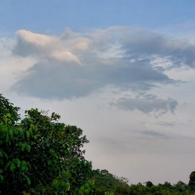 sangkurian25379's profile picture. 