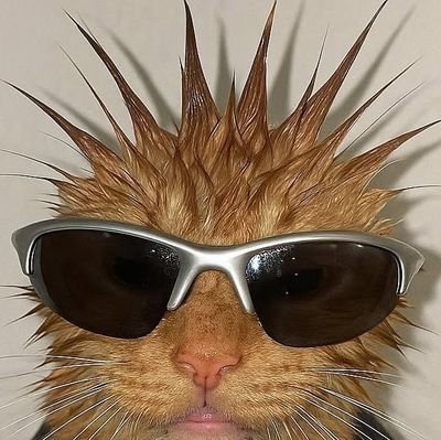 kofique_'s profile picture. — she/her ꒰ᐢ. .ᐢ꒱₊˚⊹
                                                                              Dedicated in doing nothing  ᶻ 𝘇 𐰁
🐯