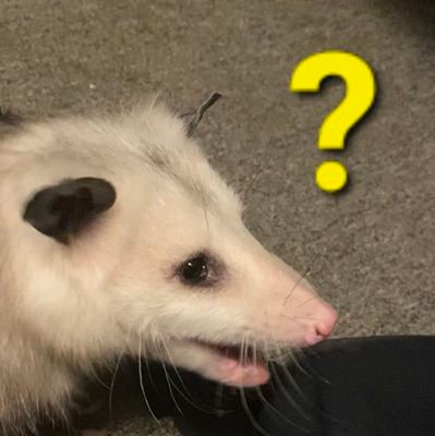 Warpykins's profile picture. Industry insider.