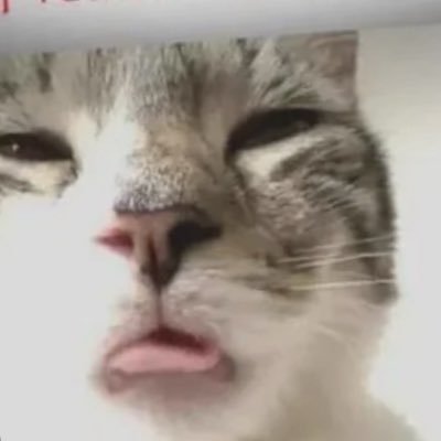 BharatiyaBanda's profile picture. Ego is the enemy.