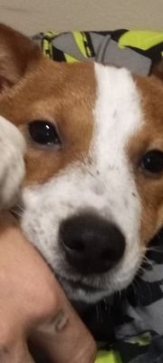 99patc's profile picture. Bob is Bob and aswhole is well an asshole