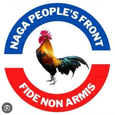 Ndpp_Youth_Tse's profile picture. 