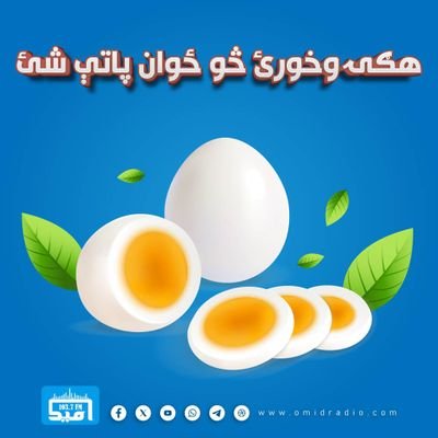 RashidKhpalwak's profile picture. 