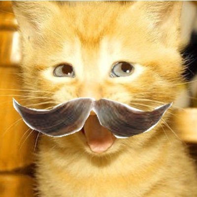 bblonded777's profile picture. hi