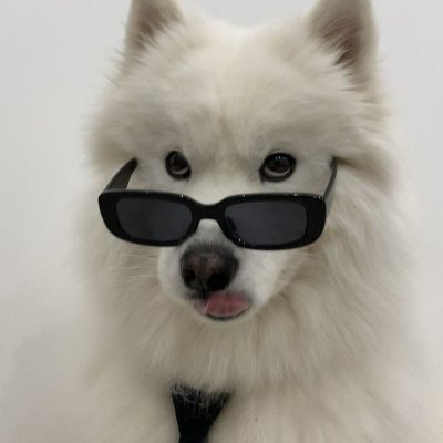 nokchita's profile picture. 1427   🍑🐈‍⬛     2313   🐶🐰