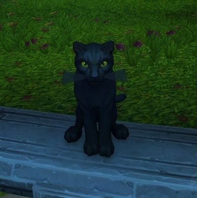 GuarapitaSpritz's profile picture. Cantante🎤•Gamer👾•Geek👽•Mis michis son mi vida🐈‍⬛•
♀️

☀️Anu belore dela'na☀️

Al zurdo BALA

HASTA EL FINAL

VENEZUELA LIBRE🇻🇪✊🏻🔥