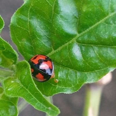 Margot320985174's profile picture. 