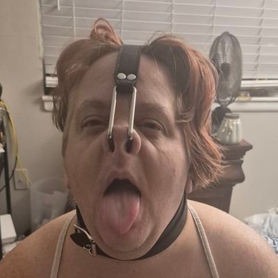 msgummypig's profile picture. 