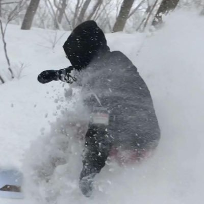 aoik___'s profile picture. building open source on Solana