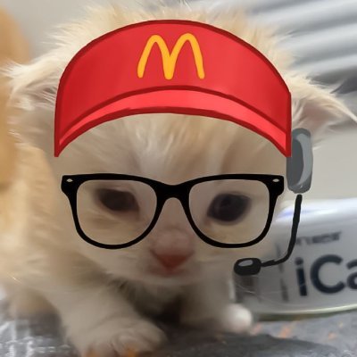 PedroHe56429332's profile picture. 