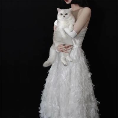 AshishC68033970's profile picture. 私は教師で、学校で子供たちに読書や勉強を教えています。家に帰ると、自分と同じニーズを持つ人を見つけたいと思っています。