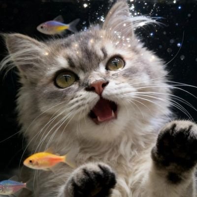 T2993242105's profile picture. 0717  男大 173/54/0.5