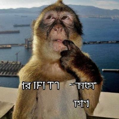 sahab34r's profile picture. Nothing c