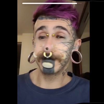 moog1175's profile picture. 