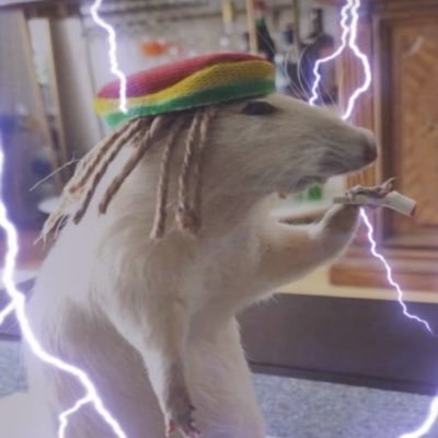 Chris_mar4's profile picture. .