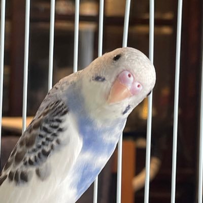 MAKZAKS's profile picture. 洋画をおもに追いかけてます 🚹25 好き:A24, サーチライト,🇫🇷映画