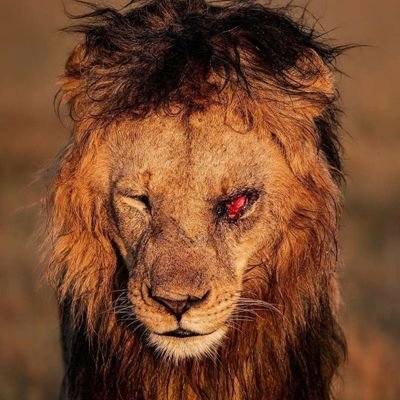 360gtanoob09's profile picture. Main account got hacked