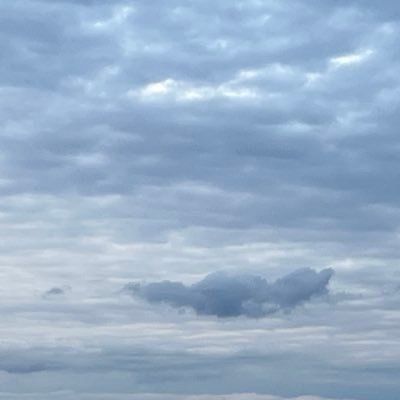 a_favourr's profile picture. https://t.co/mCkDnuoGC3 Founder of StudioFave