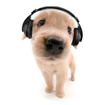 jjooooomen's profile picture. 