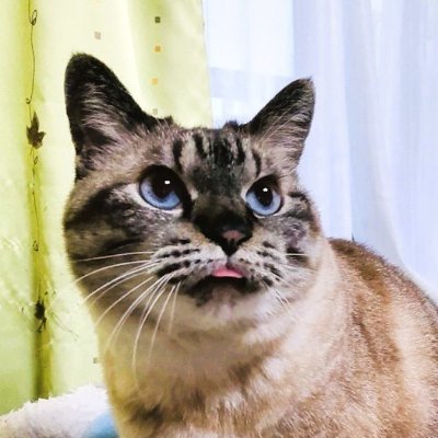 SatomiEto's profile picture. MathWorks Japan（MATLAB/Simulinkの会社）で教育機関向けエンジニアをしています。発言は全て個人の見解です。