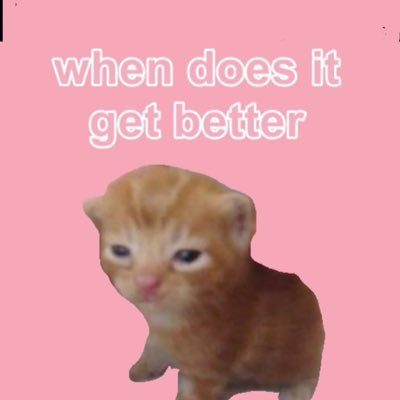 malequipicazo's profile picture. RIP USA: 1776-2025