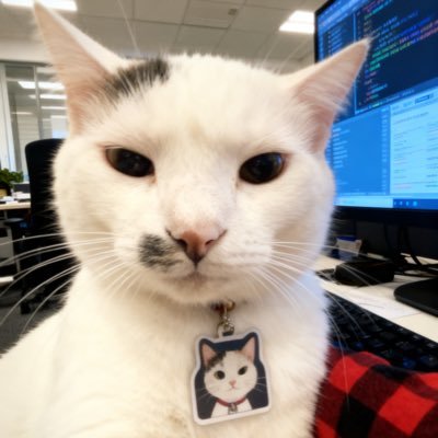 triggerfunder's profile picture. Trigger Consulting CEO @LLM hiring！